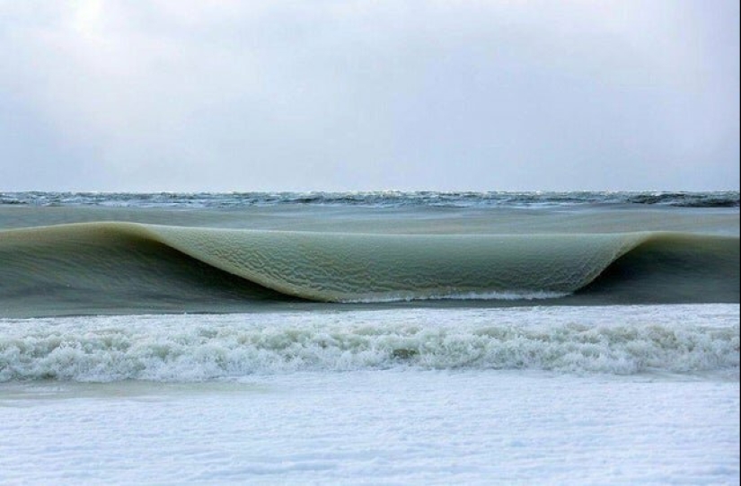 Perfect to the point of outrage: 25 photos that will delight perfectionists Perfect to the point of outrage: 25 photos that will delight perfectionists