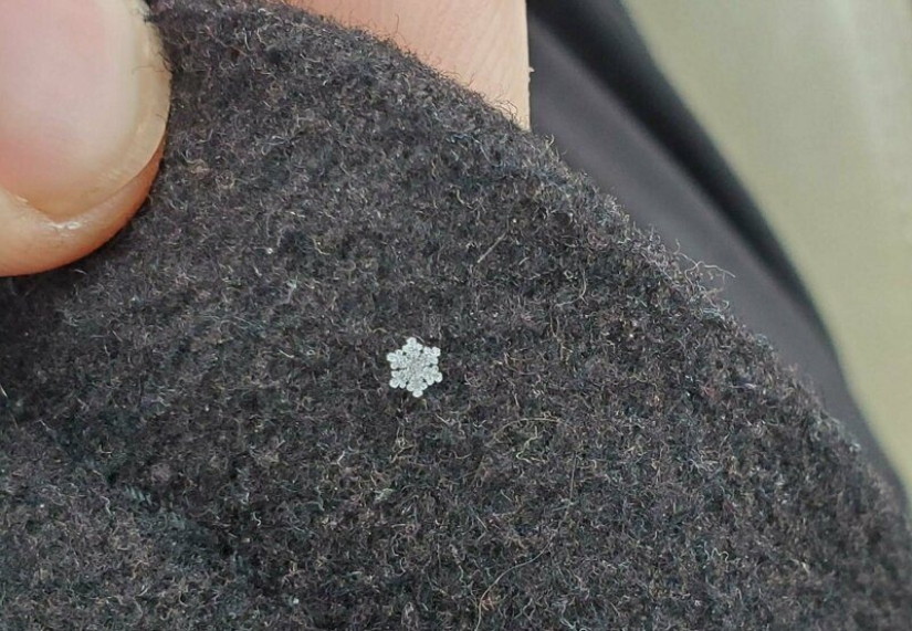 Perfect to the point of outrage: 25 photos that will delight perfectionists Perfect to the point of outrage: 25 photos that will delight perfectionists