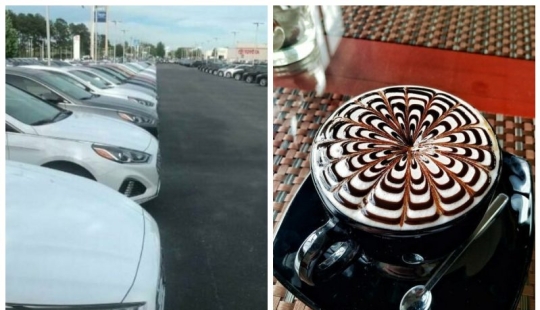 Perfect to the point of outrage: 25 photos that will delight perfectionists