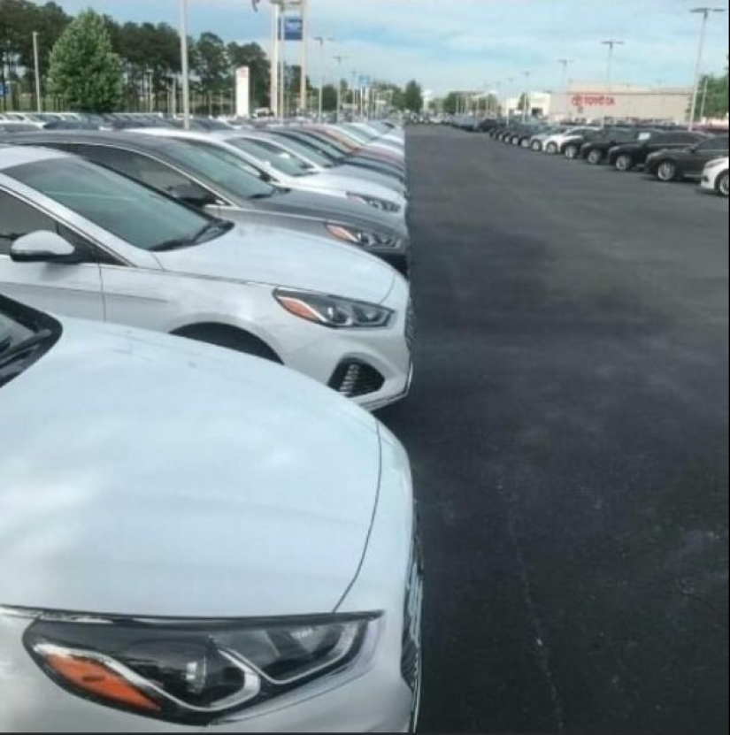 Perfect to the point of outrage: 25 photos that will delight perfectionists Perfect to the point of outrage: 25 photos that will delight perfectionists