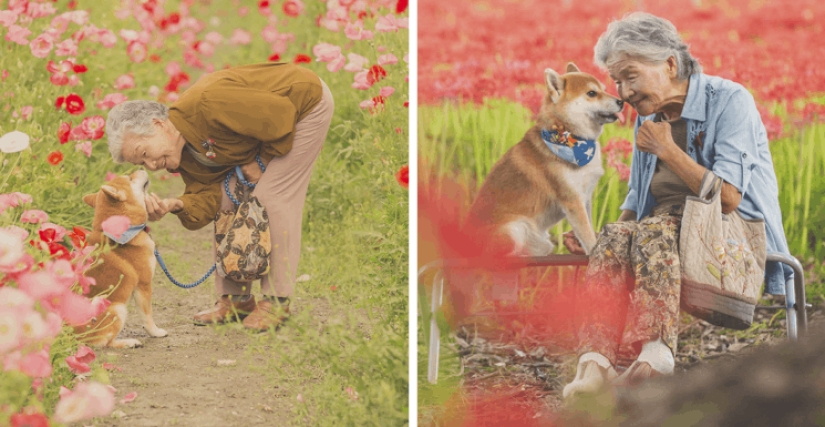 Photographer from Japan makes touching photos of his grandmother and dog