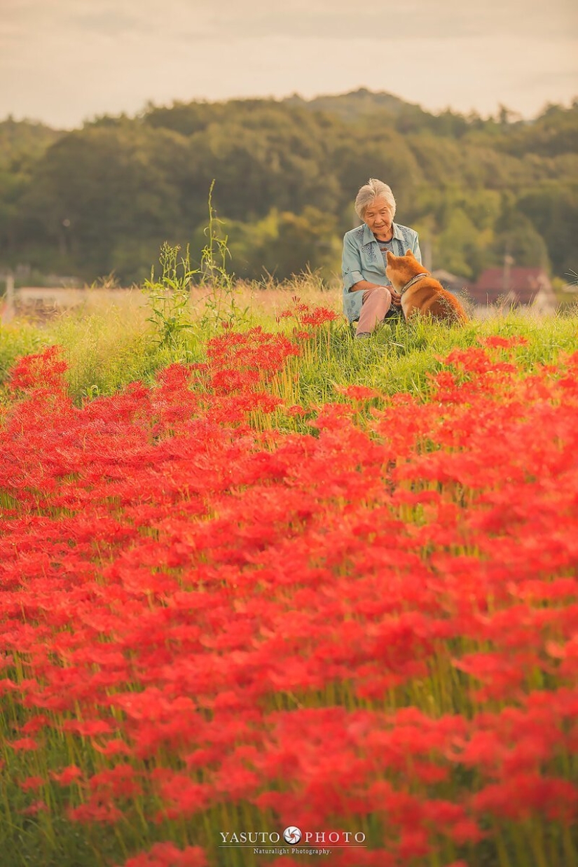 Photographer from Japan makes touching photos of his grandmother and dog