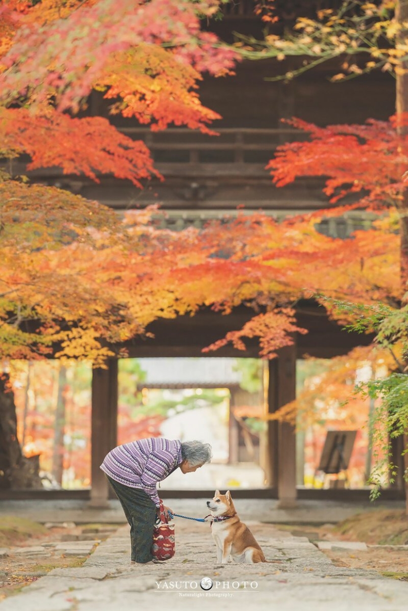 Photographer from Japan makes touching photos of his grandmother and dog
