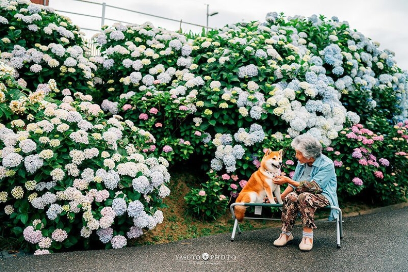 Photographer from Japan makes touching photos of his grandmother and dog