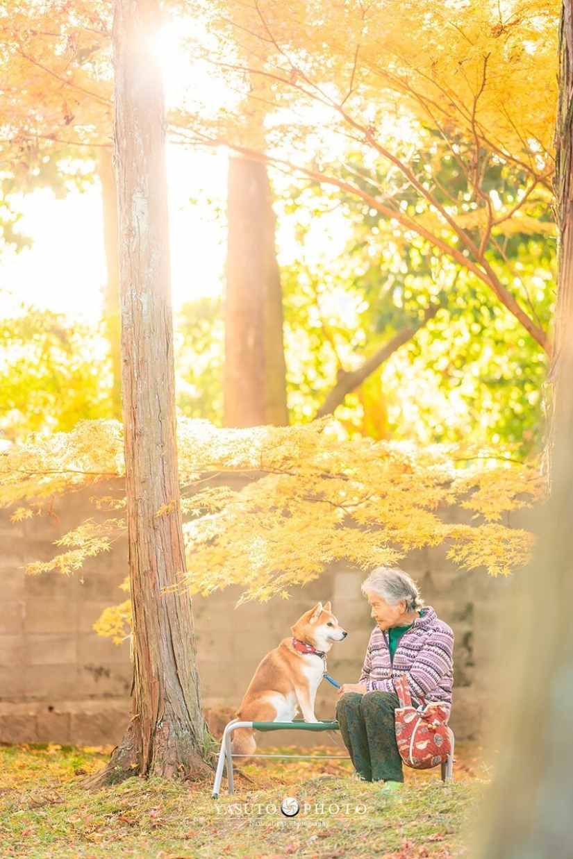 Photographer from Japan makes touching photos of his grandmother and dog