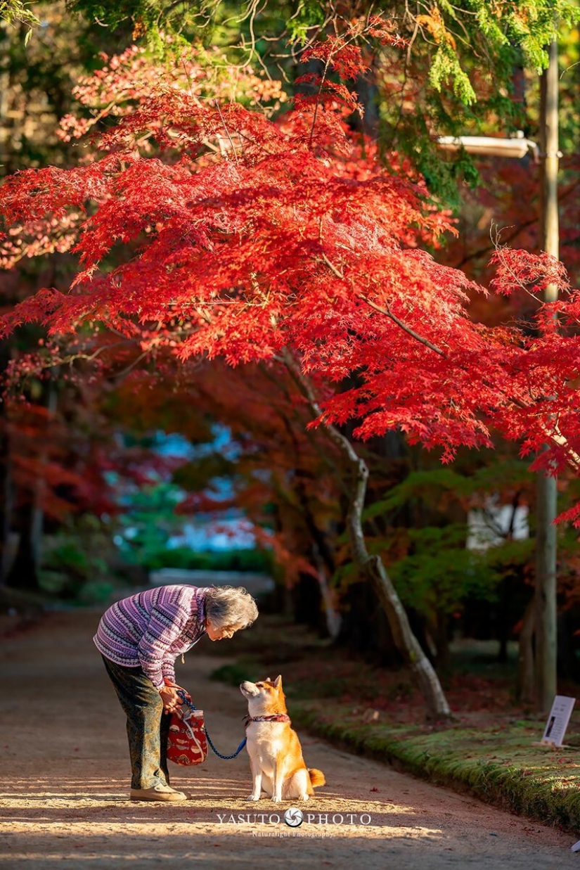Photographer from Japan makes touching photos of his grandmother and dog