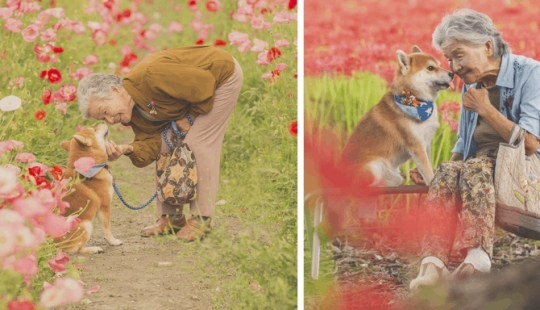 Photographer from Japan makes touching photos of his grandmother and dog