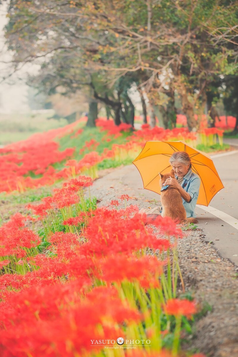 Photographer from Japan makes touching photos of his grandmother and dog