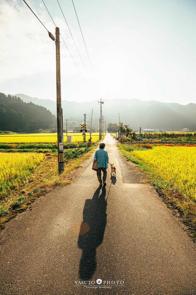 Photographer from Japan makes touching photos of his grandmother and dog