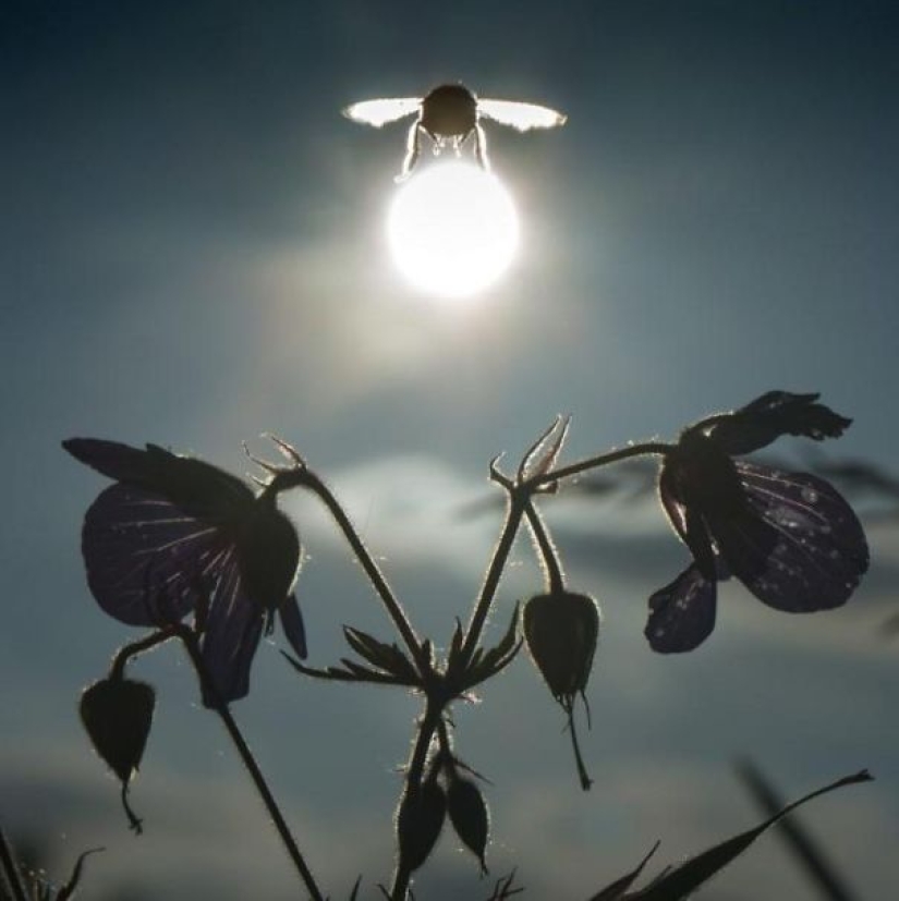 Photos that were taken at the right moment