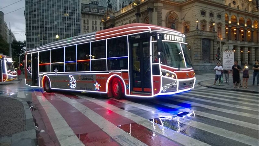 Plush pneumococcus and 22 other curiosities that few people have seen Plush pneumococcus and 22 other curiosities that few people have seen