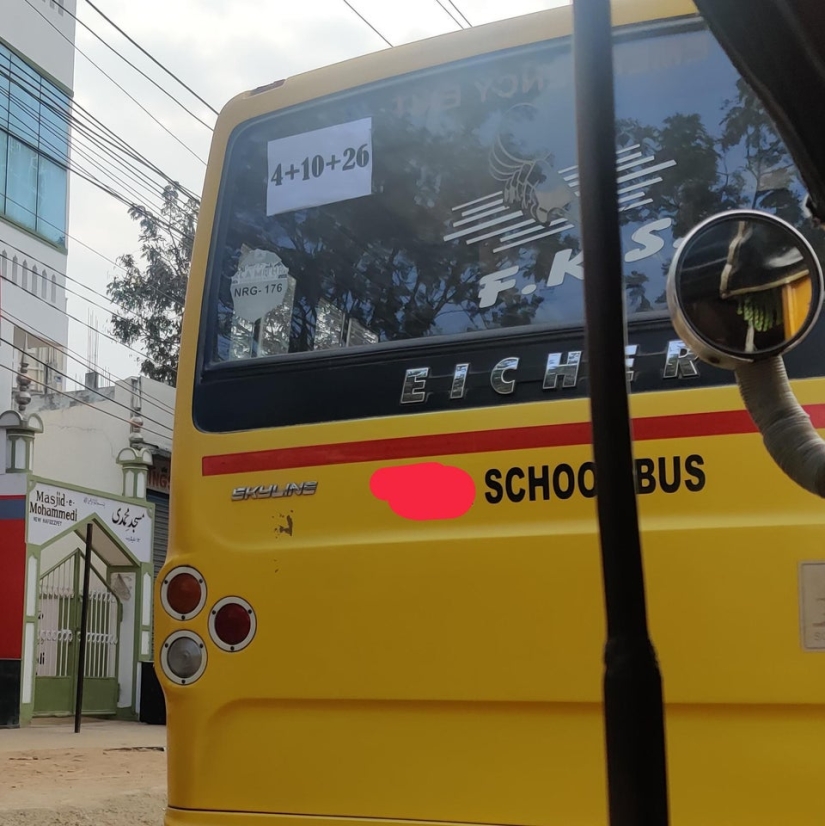 Plush pneumococcus and 22 other curiosities that few people have seen Plush pneumococcus and 22 other curiosities that few people have seen