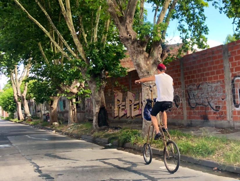 Plush pneumococcus and 22 other curiosities that few people have seen Plush pneumococcus and 22 other curiosities that few people have seen