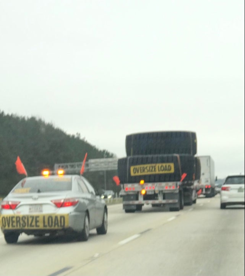 Plush pneumococcus and 22 other curiosities that few people have seen Plush pneumococcus and 22 other curiosities that few people have seen