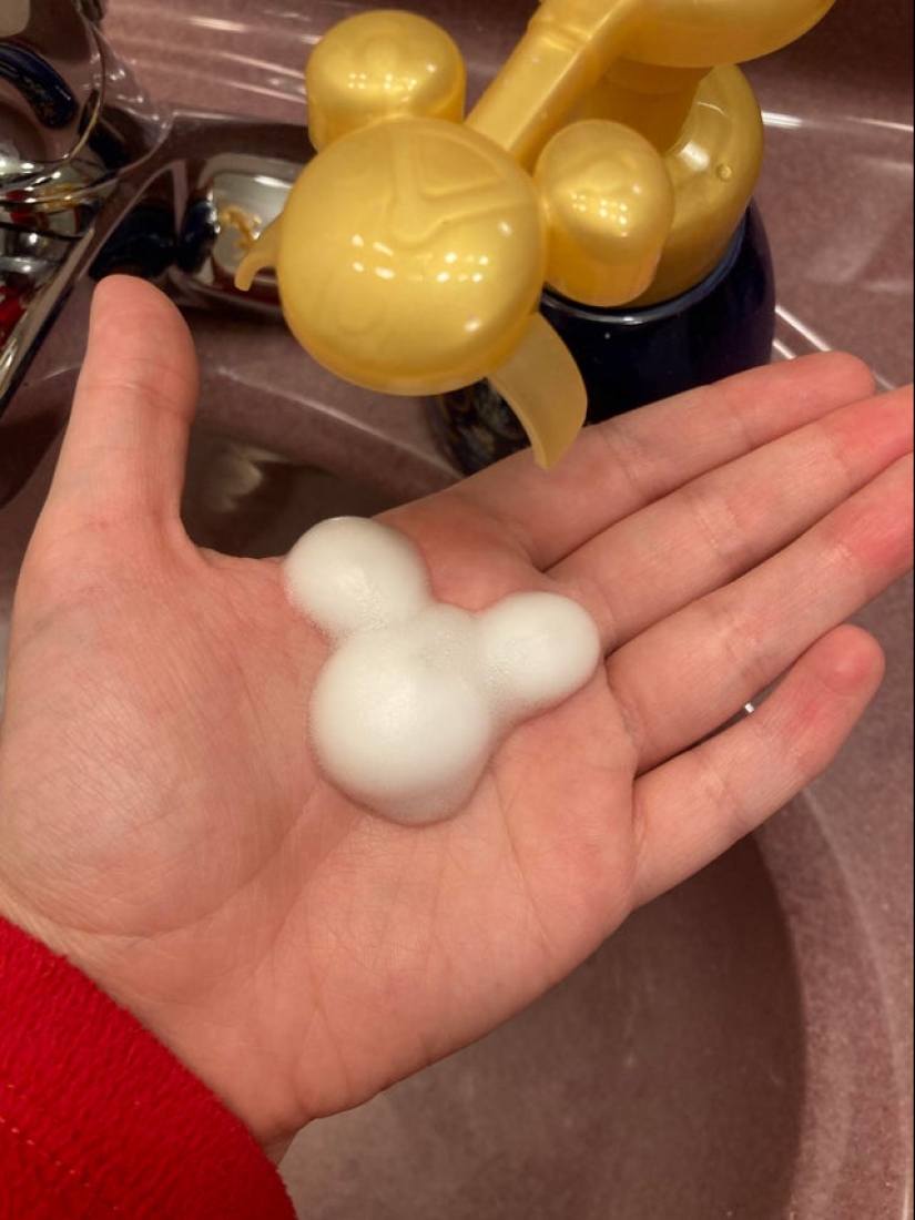 Plush pneumococcus and 22 other curiosities that few people have seen Plush pneumococcus and 22 other curiosities that few people have seen