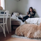 ¿Por qué los Finlandeses tire de tener una mascota alces