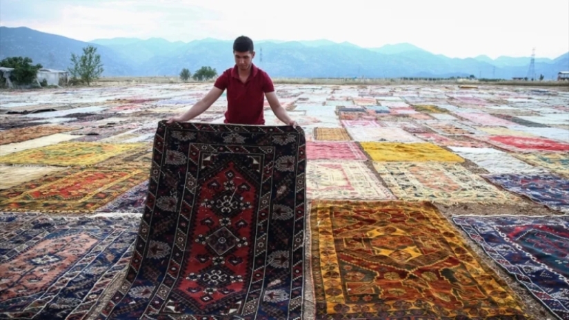 ¿Por qué los turcos colocan miles de alfombras en los campos? ¿Por qué los turcos colocan miles de alfombras en los campos?
