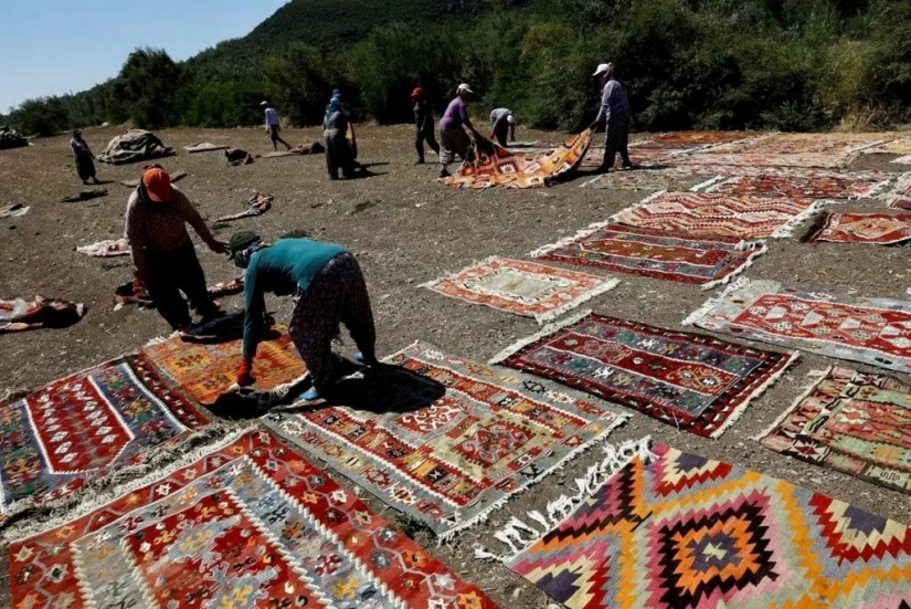 ¿Por qué los turcos colocan miles de alfombras en los campos? ¿Por qué los turcos colocan miles de alfombras en los campos?