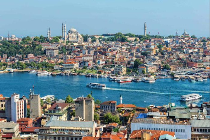 Por qué no hay tiburones peligrosos para los humanos en el Mar Negro Por qué no hay tiburones peligrosos para los humanos en el Mar Negro