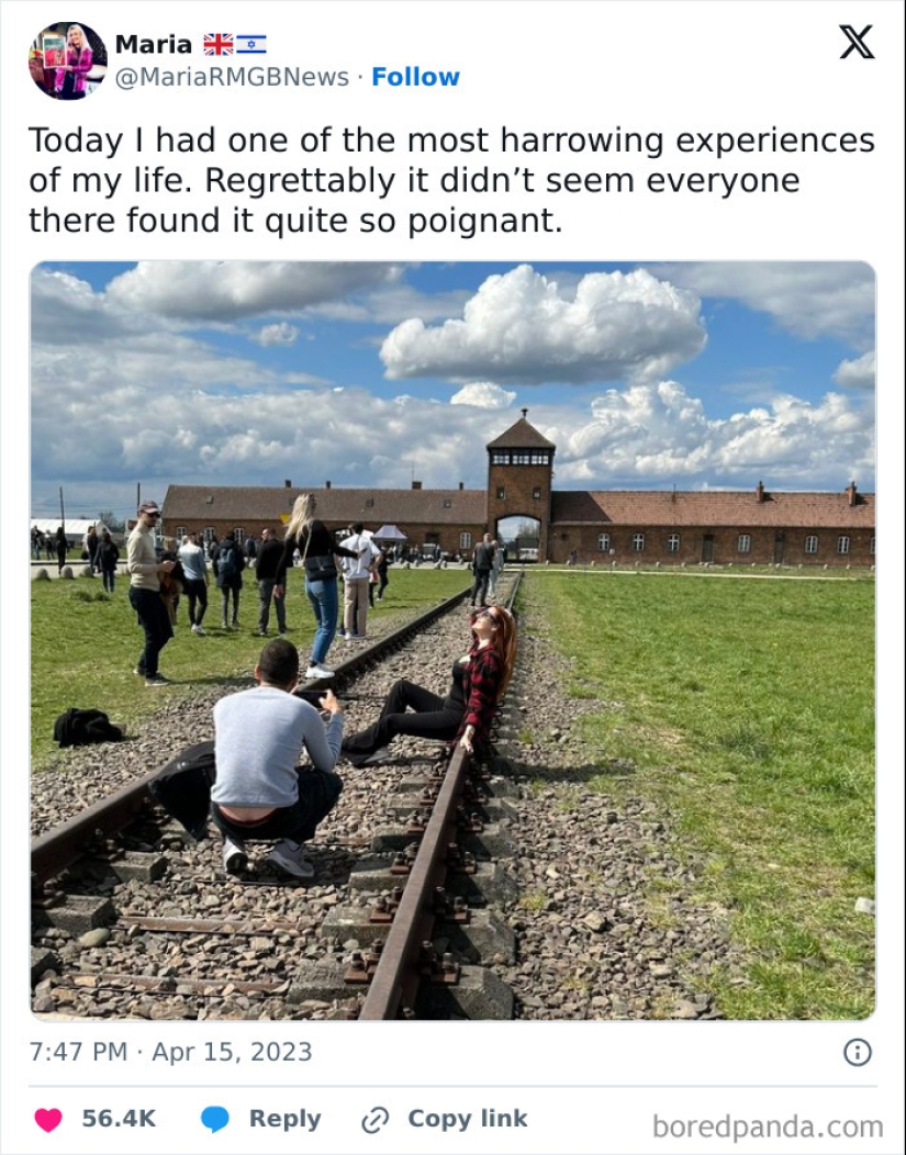 “¿Qué reglas? Soy especial”: 10 fotos de turistas titulados que te harán hervir la sangre