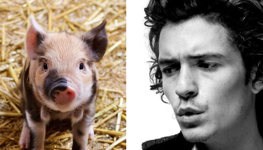 "¡Quita el cerdo!": fobias inesperadas de Depp, Bloom, Medvedeva y otras estrellas