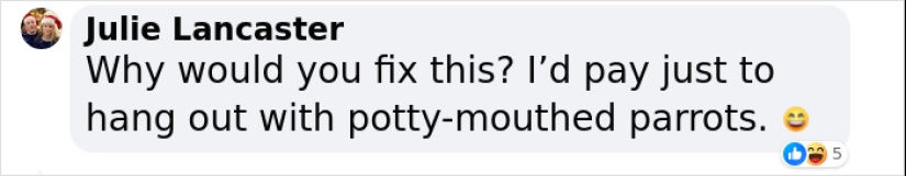 Rude Parrots That Can’t Stop Swearing Are In The Process Of Being Rehabilitated With New Flock Rude Parrots That Can’t Stop Swearing Are In The Process Of Being Rehabilitated With New Flock