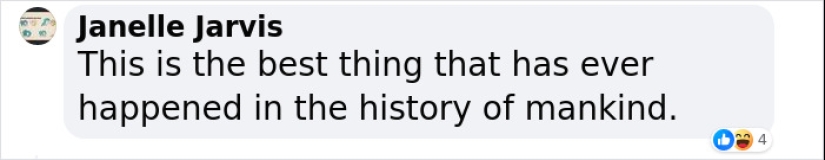 Rude Parrots That Can’t Stop Swearing Are In The Process Of Being Rehabilitated With New Flock Rude Parrots That Can’t Stop Swearing Are In The Process Of Being Rehabilitated With New Flock