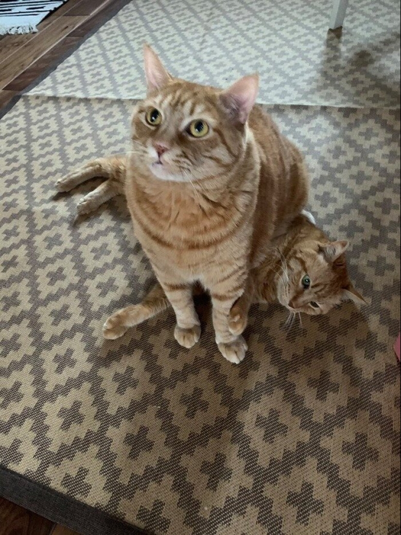 Rule, dominate, humiliate: 15 photos in which rights are infringed Rule, dominate, humiliate: 15 photos in which rights are infringed