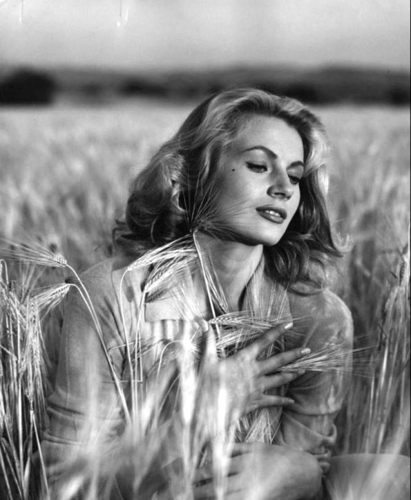 "Sabroso de la vida" Anita Ekberg — ¿cómo fue el triste destino de un símbolo sexual de los años 60 "Sabroso de la vida" Anita Ekberg — ¿cómo fue el triste destino de un símbolo sexual de los años 60