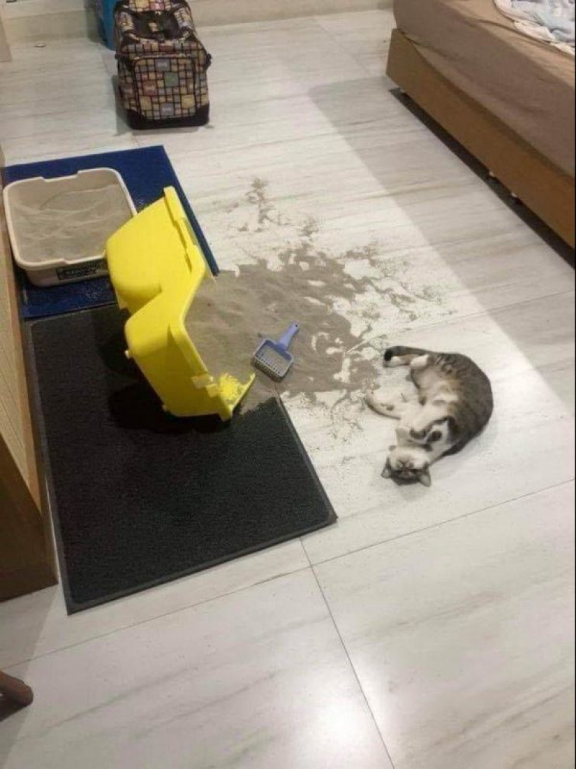 Shit happens: a compilation of the most epic of fails from the Internet