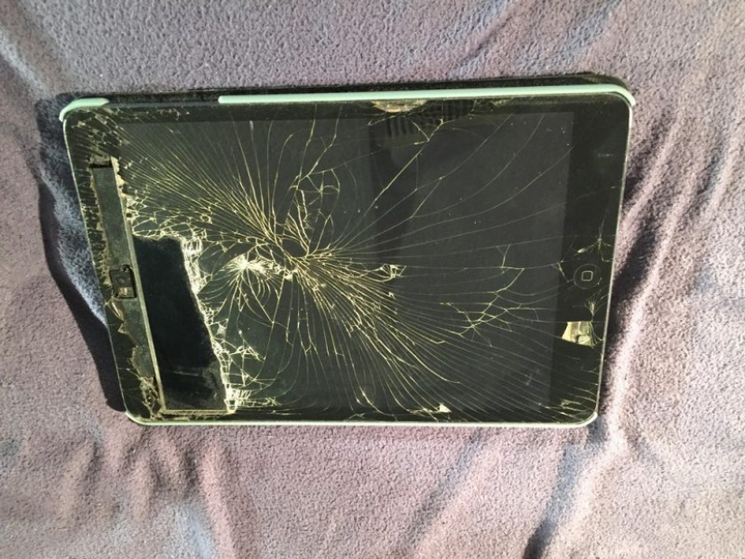 Shit happens: a compilation of the most epic of fails from the Internet