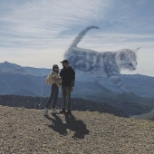Si los gatos fueran gigantes: artista explora un concepto surrealista creando imágenes de apariencia realista