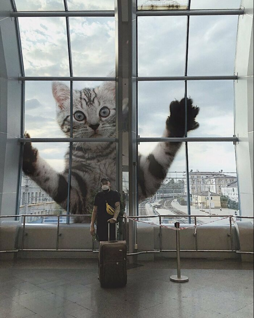 Si los gatos fueran gigantes: artista explora un concepto surrealista creando imágenes de apariencia realista