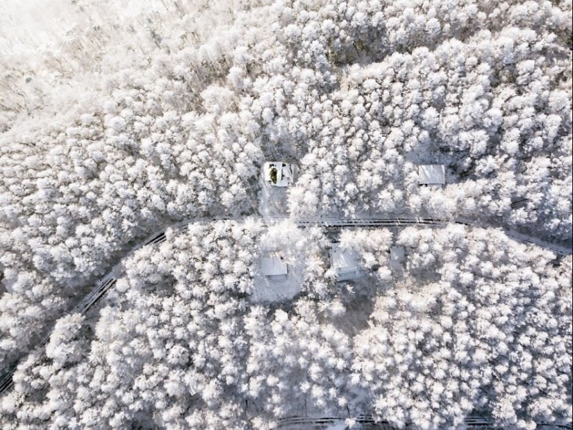 Snow Fairy tale: incredibly beautiful winter in Japan