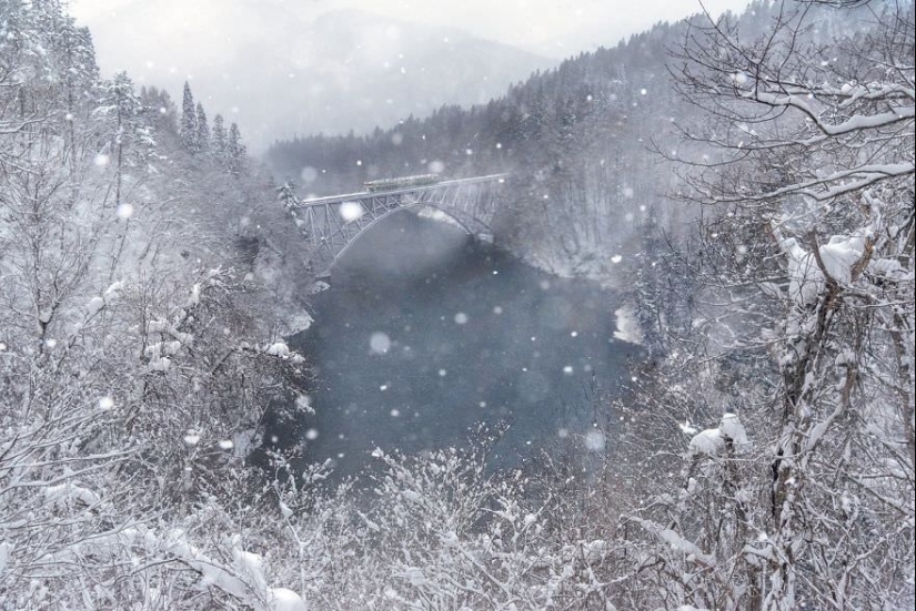 Snow Fairy tale: incredibly beautiful winter in Japan