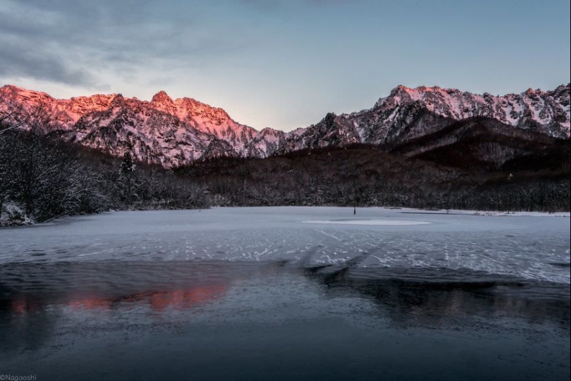 Snow Fairy tale: incredibly beautiful winter in Japan