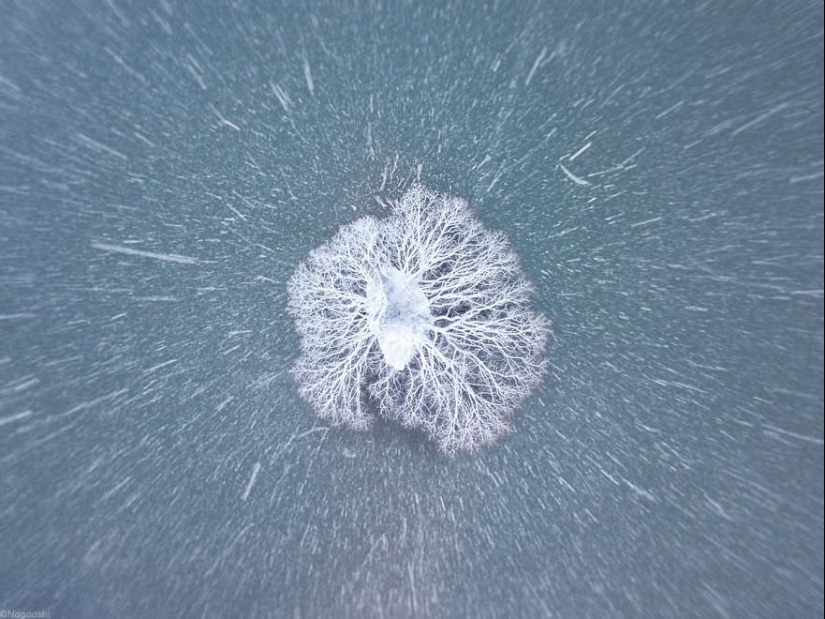 Snow Fairy tale: incredibly beautiful winter in Japan