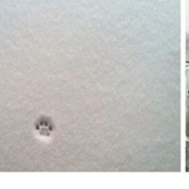 Snow wonders that you will see once in your life