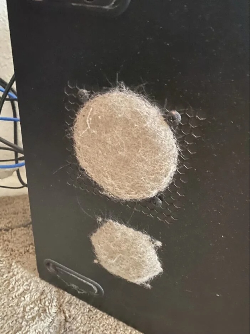 Soporte técnico de lunes a viernes: 22 pruebas de que no todos deben confiar en el equipo Soporte técnico de lunes a viernes: 22 pruebas de que no todos deben confiar en el equipo