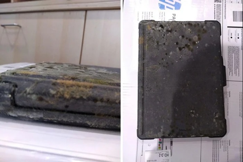 Soporte técnico de lunes a viernes: 22 pruebas de que no todos deben confiar en el equipo Soporte técnico de lunes a viernes: 22 pruebas de que no todos deben confiar en el equipo