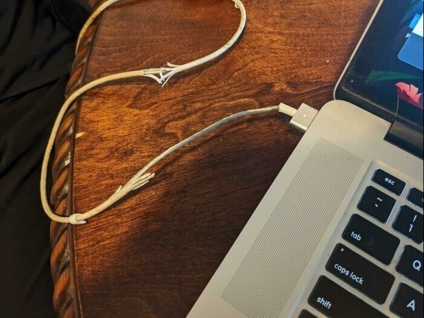 Soporte técnico de lunes a viernes: 22 pruebas de que no todos deben confiar en el equipo Soporte técnico de lunes a viernes: 22 pruebas de que no todos deben confiar en el equipo