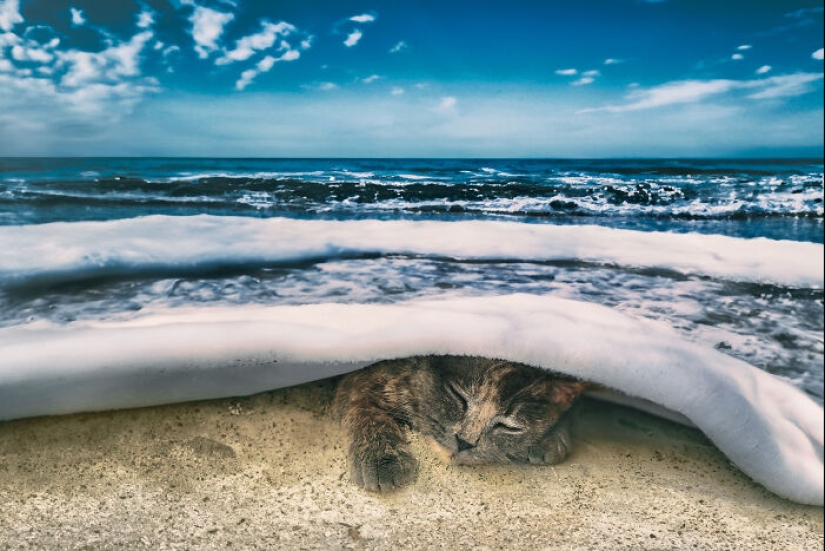 Soy un artista de manipulación de fotos, y aquí están 15 de mis obras de arte surrealistas. Soy un artista de manipulación de fotos, y aquí están 15 de mis obras de arte surrealistas.