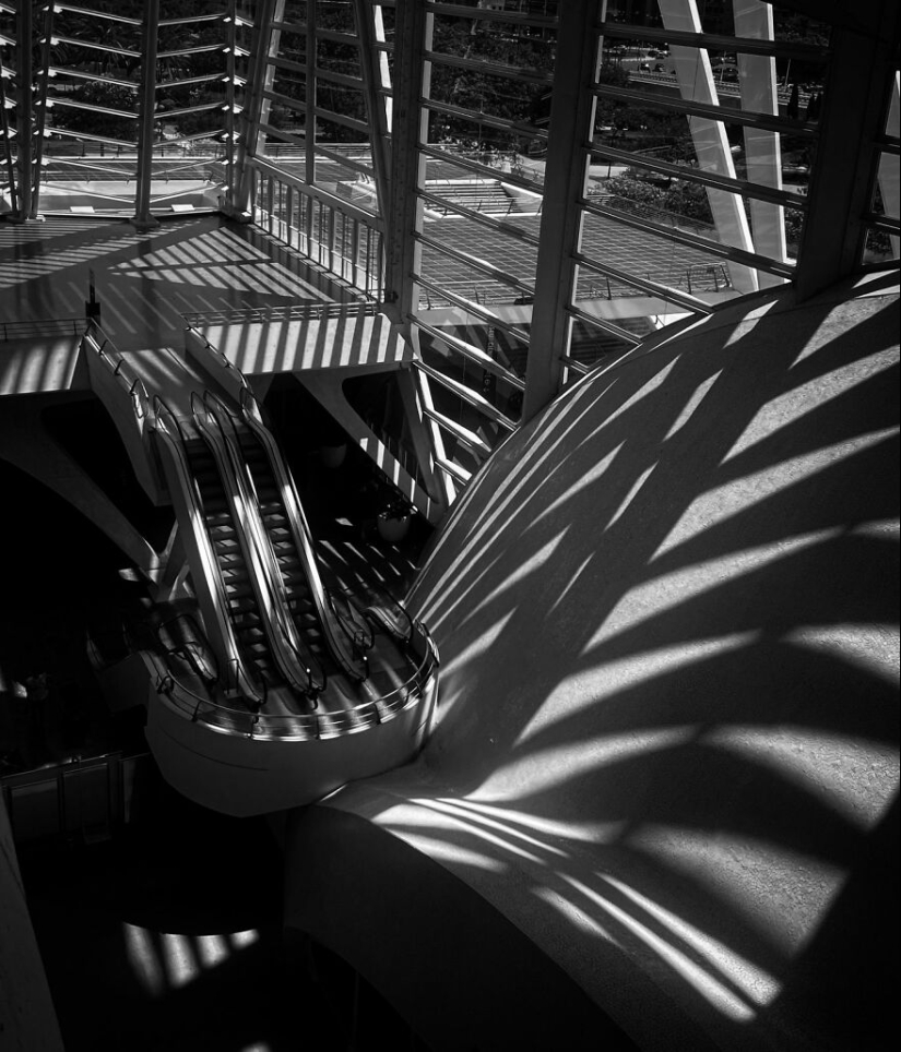 Soy un fotógrafo principiante de 13 años sin cámara, y aquí hay 11 fotos que tomé en los últimos 6 meses Soy un fotógrafo principiante de 13 años sin cámara, y aquí hay 11 fotos que tomé en los últimos 6 meses