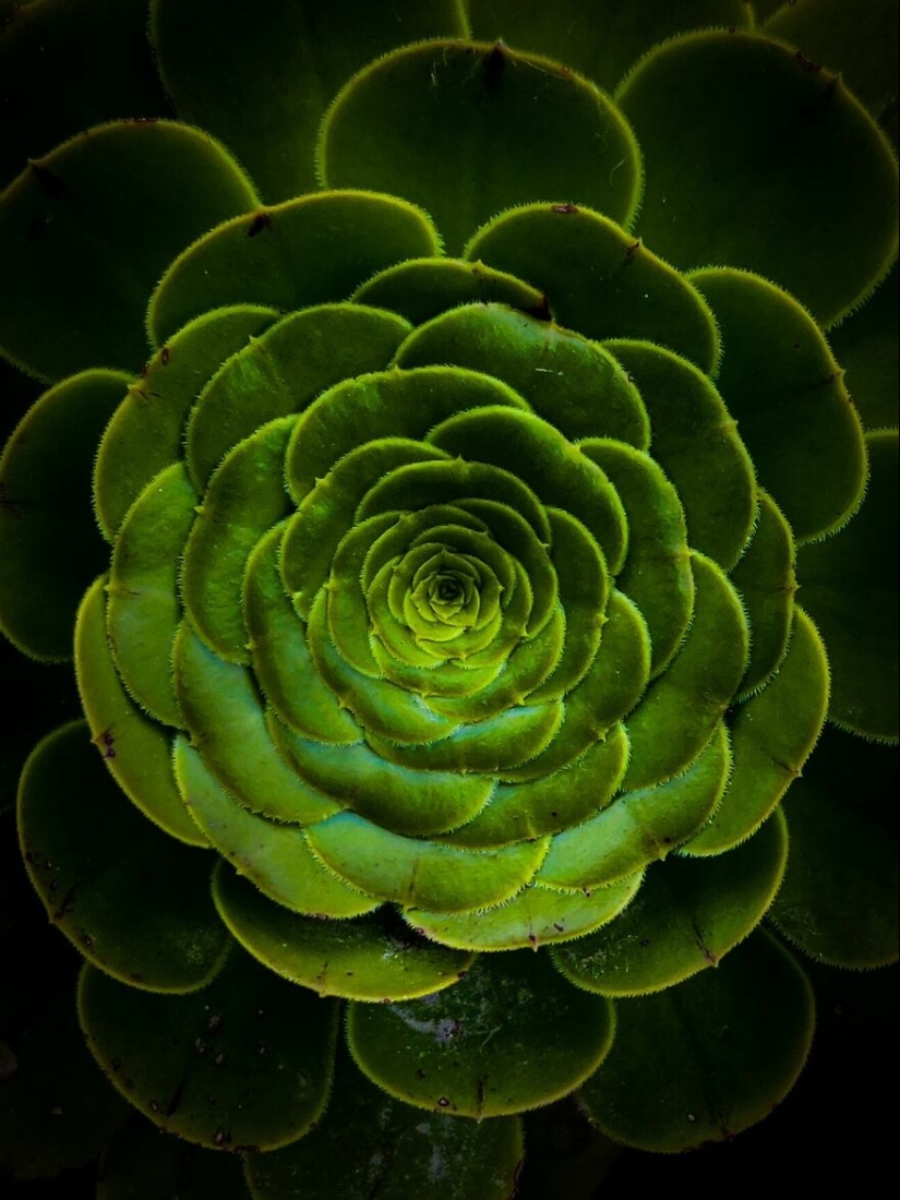 Soy un fotógrafo principiante de 13 años sin cámara, y aquí hay 11 fotos que tomé en los últimos 6 meses Soy un fotógrafo principiante de 13 años sin cámara, y aquí hay 11 fotos que tomé en los últimos 6 meses