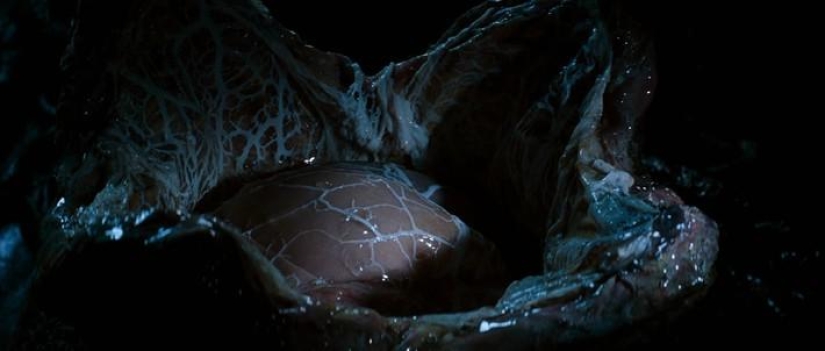 Special effects in the cinema — Space horror in the movie "Alien"