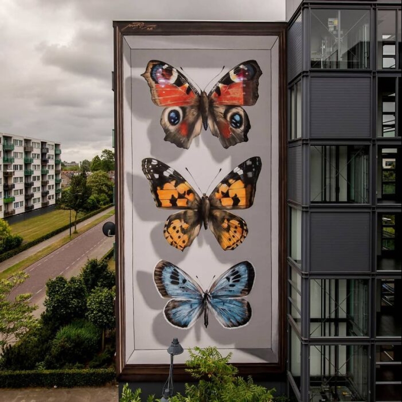 Specimen Boxes: 13 Giant Butterfly Murals Painted By This French Artist Across The World
