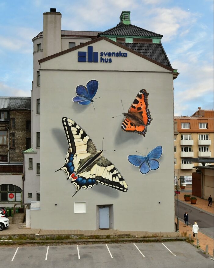 Specimen Boxes: 13 Giant Butterfly Murals Painted By This French Artist Across The World