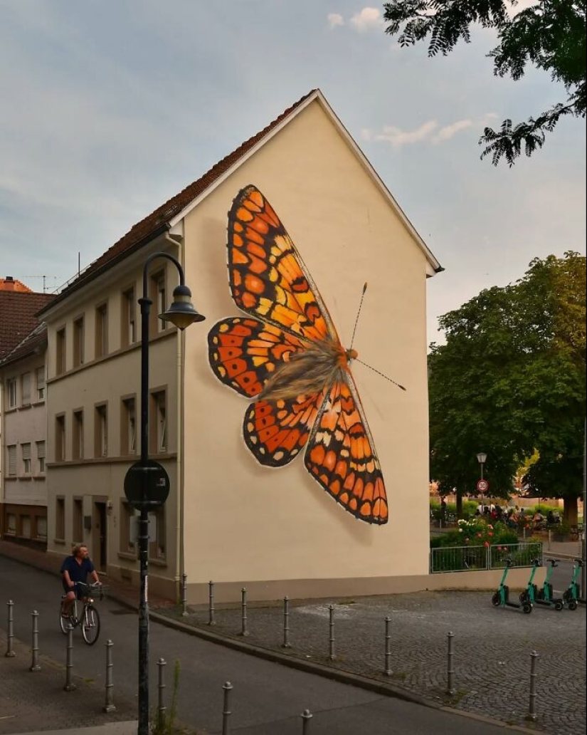 Specimen Boxes: 13 Giant Butterfly Murals Painted By This French Artist Across The World