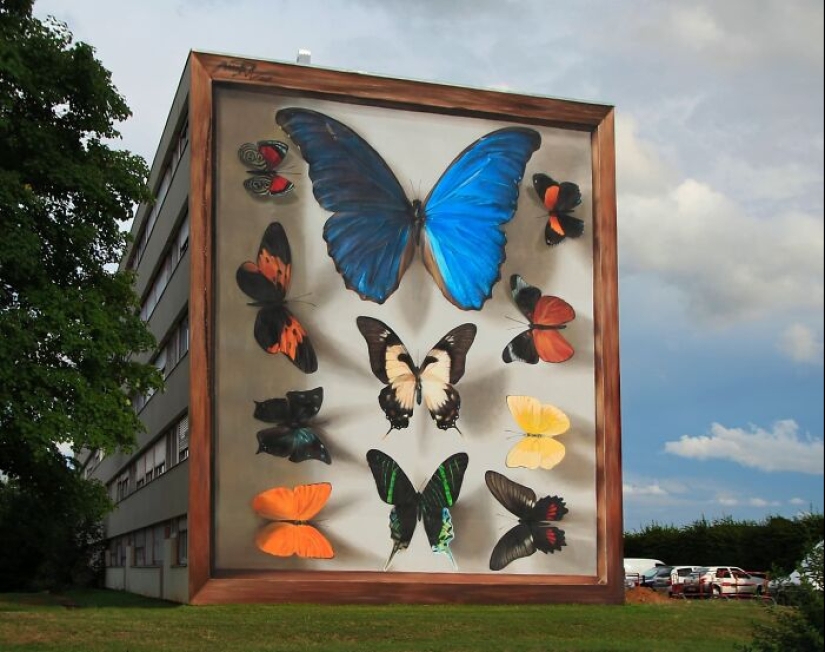 Specimen Boxes: 13 Giant Butterfly Murals Painted By This French Artist Across The World