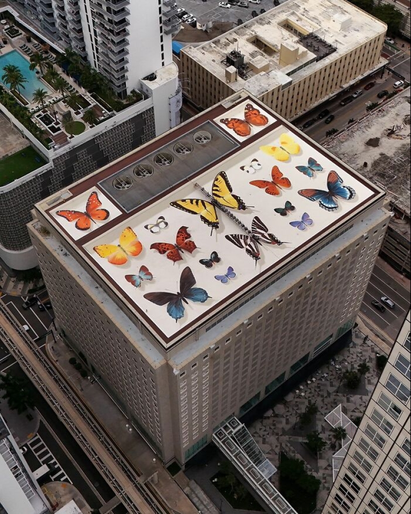 Specimen Boxes: 13 Giant Butterfly Murals Painted By This French Artist Across The World